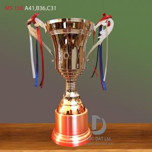 Cup_the_thao__10_-e1496044913342