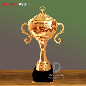 Cup_the_thao__18_-e1496046266865