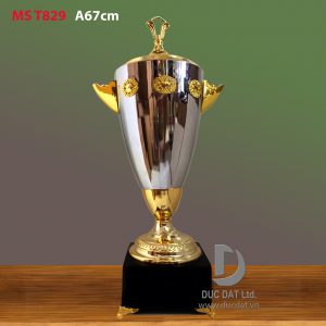 Cup_the_thao__20_-e1496046645699