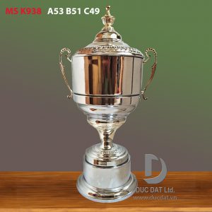 Cup_the_thao__22_-e1496047002639