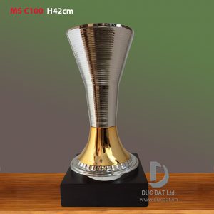 Cup_the_thao__30_-e1496048258384