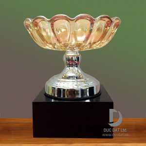 Cup_the_thao__41_-e1496050119884