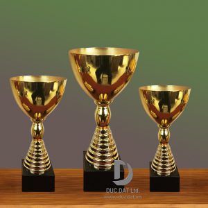 Cup_the_thao__42_-e1496050270167