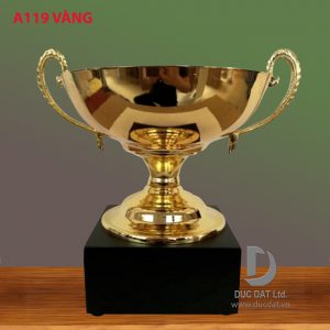 Cup_the_thao__43_-e1496050416544