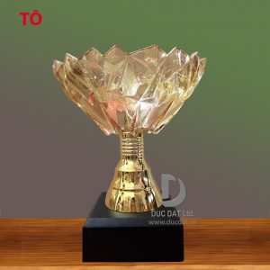 Cup_the_thao__45_-e1496050749692