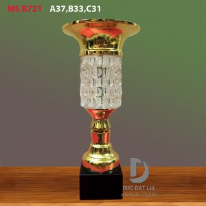 Cup_the_thao__48_-e1496051449723
