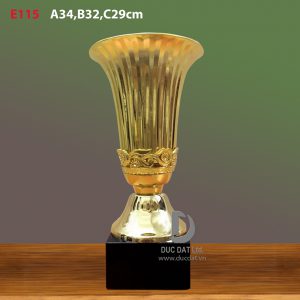 Cup_the_thao__56_-e1496053246126