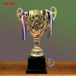 Cup_the_thao__59_-1-e1496053729218