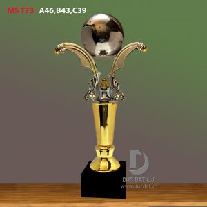 Cup_the_thao__5_-e1496044006914