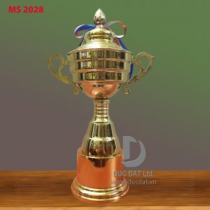 Cup_the_thao__60_-e1496053872822