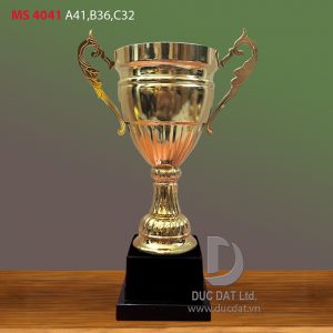 Cup_the_thao__62_-e1496106990760