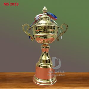 Cup_the_thao__63_-e1496107167110