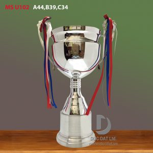 Cup_the_thao__6_-e1496044191172