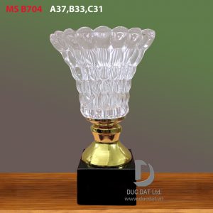Cup_the_thao__70_-e1496108542918