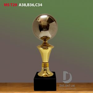 Cup_the_thao__9_-e1496044755655
