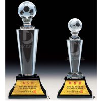 cup_pha_le_bong_da_02-e1495699317252